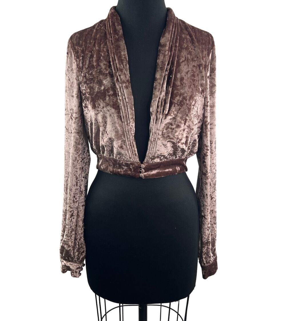 Lovers + Friends Brown Floyd Velvet Top Deep V-Neck Cropped Long Sleeve Size S